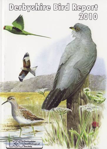 DBR 2010 Cover