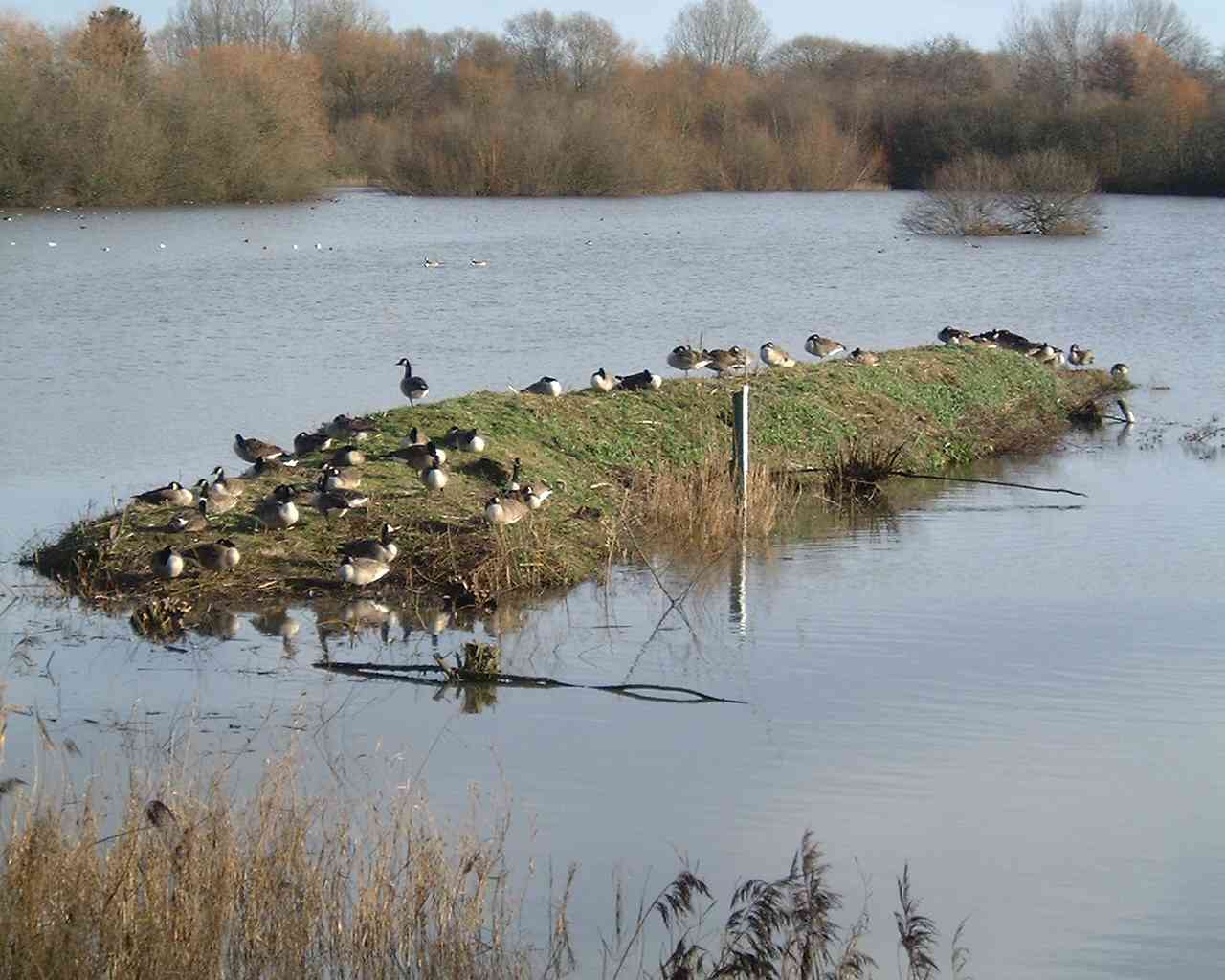 Drakelow NR
