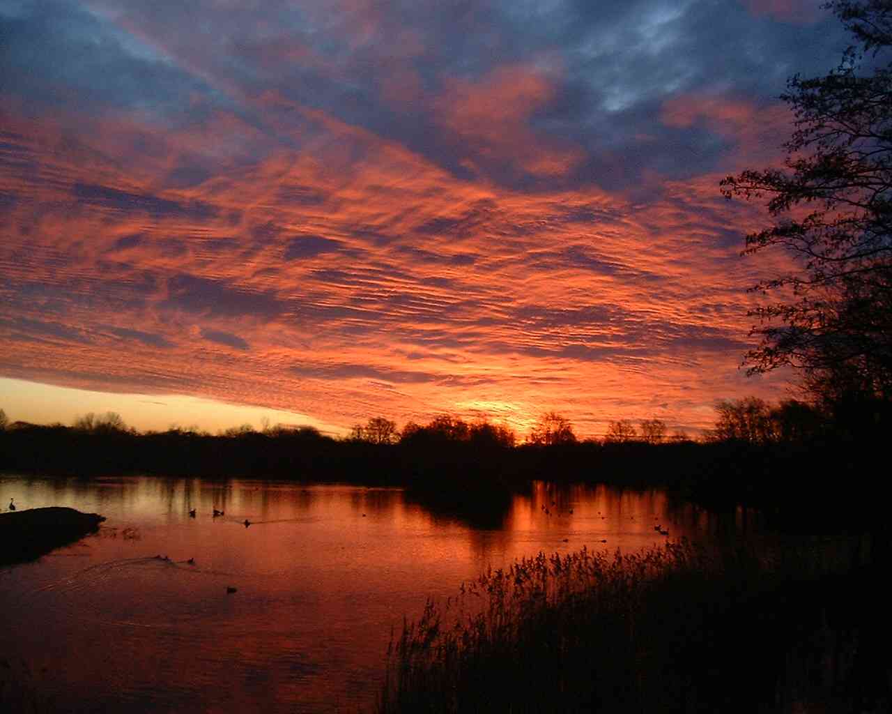 Drakelow NR