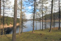 Ladybower Reservoir from Fairholmes Car Park