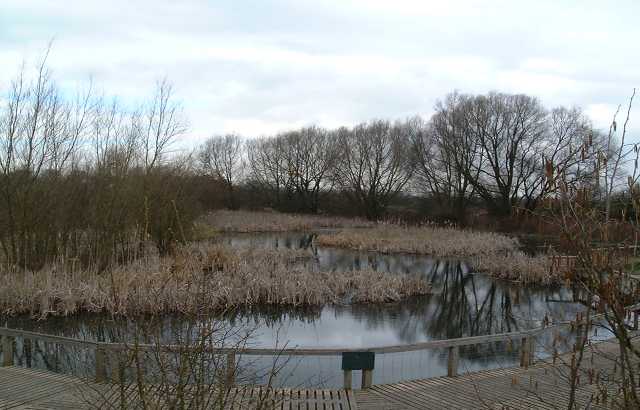 The original pond which is used by schools and other groups for pond-dipping