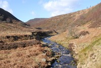 Derwentdale