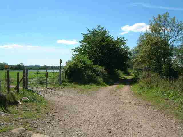 Willington GP