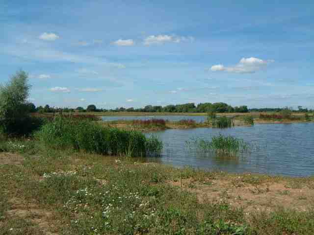 Willington GP