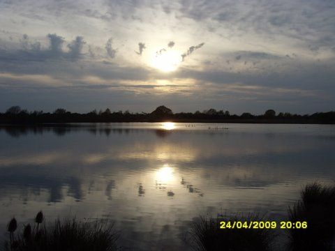 Willington GP