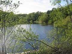 Ogston1.jpg